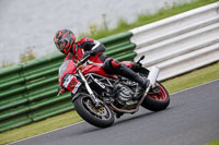 Red Bikes